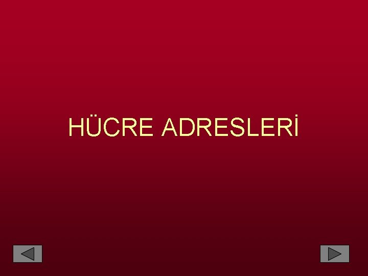 HÜCRE ADRESLERİ 