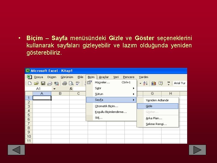  • Biçim – Sayfa menüsündeki Gizle ve Göster seçeneklerini kullanarak sayfaları gizleyebilir ve