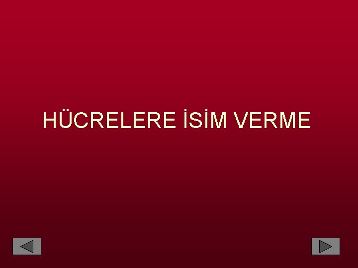 HÜCRELERE İSİM VERME 