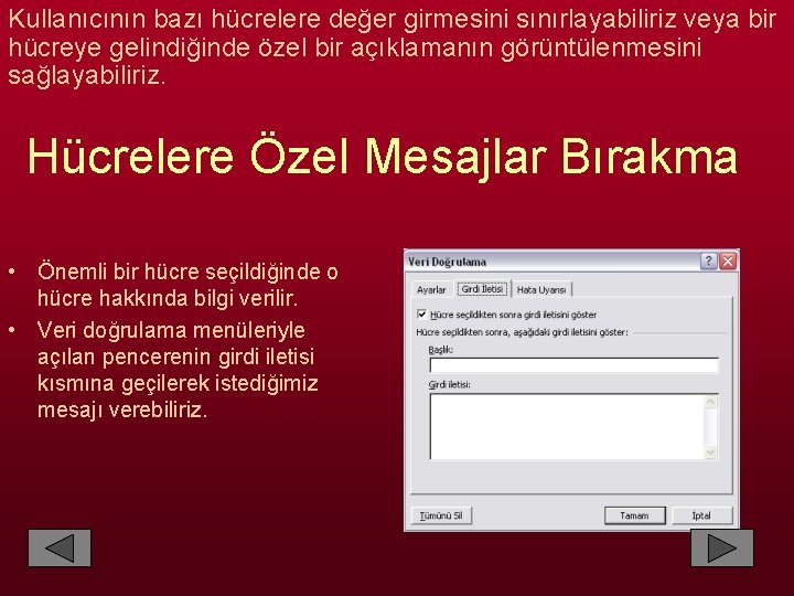 Kullanıcının bazı hücrelere değer girmesini sınırlayabiliriz veya bir hücreye gelindiğinde özel bir açıklamanın görüntülenmesini