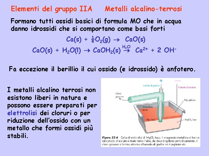 Elementi del gruppo IIA Metalli alcalino-terrosi Formano tutti ossidi basici di formula MO che