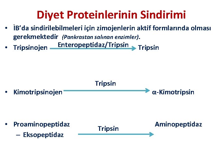 Diyet Proteinlerinin Sindirimi • İB’da sindirilebilmeleri için zimojenlerin aktif formlarında olması gerekmektedir (Pankrastan salınan
