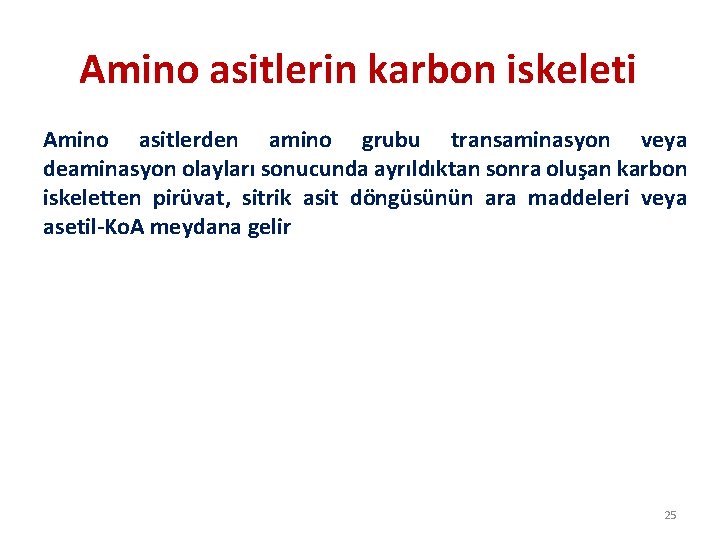 Amino asitlerin karbon iskeleti Amino asitlerden amino grubu transaminasyon veya deaminasyon olayları sonucunda ayrıldıktan