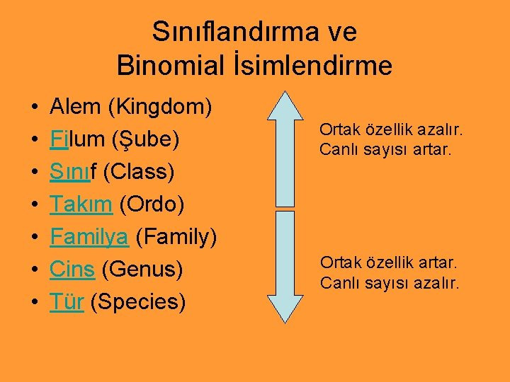 Sınıflandırma ve Binomial İsimlendirme • • Alem (Kingdom) Filum (Şube) Sınıf (Class) Takım (Ordo)