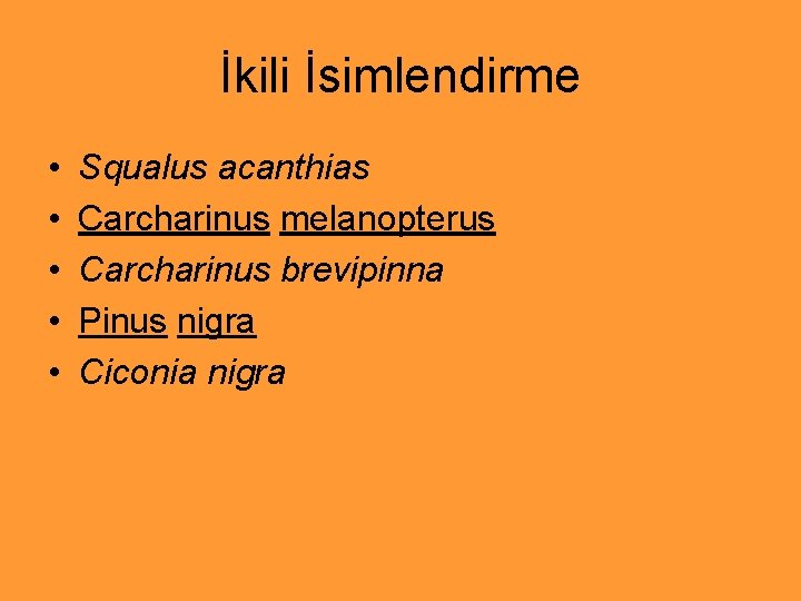 İkili İsimlendirme • • • Squalus acanthias Carcharinus melanopterus Carcharinus brevipinna Pinus nigra Ciconia