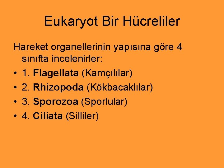 Eukaryot Bir Hücreliler Hareket organellerinin yapısına göre 4 sınıfta incelenirler: • 1. Flagellata (Kamçılılar)