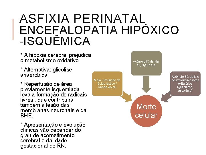 ASFIXIA PERINATAL ENCEFALOPATIA HIPÓXICO -ISQUÊMICA * A hipóxia cerebral prejudica o metabolismo oxidativo. Acúmulo