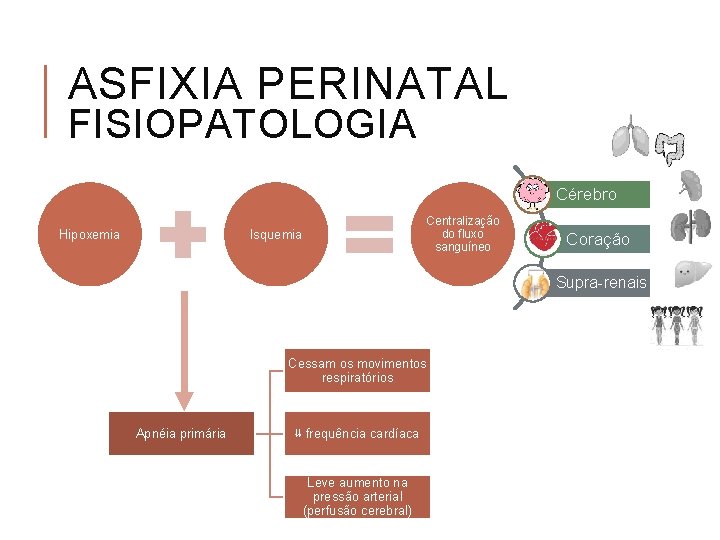 ASFIXIA PERINATAL FISIOPATOLOGIA Cérebro Hipoxemia Centralização do fluxo sanguíneo Isquemia Coração Supra-renais Cessam os