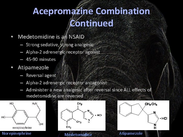 Acepromazine Combination Continued • Medetomidine is an NSAID – – – Strong sedative, strong