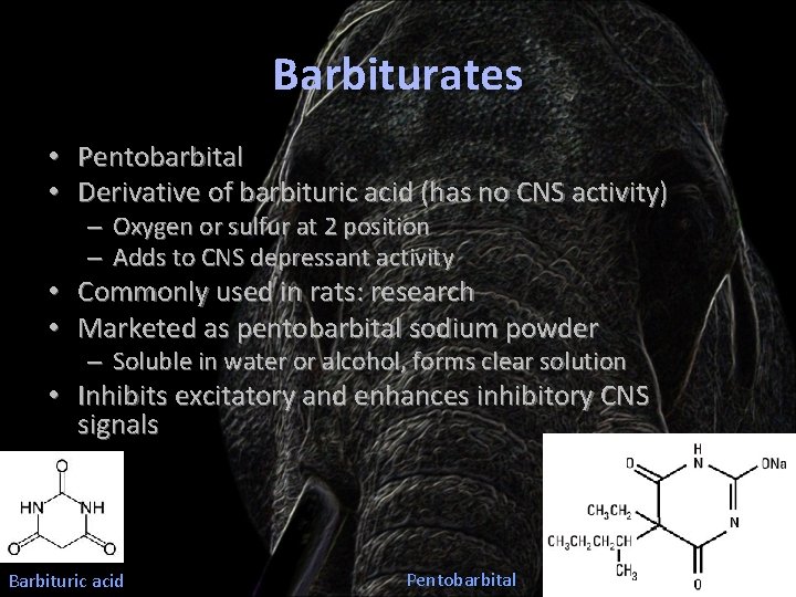 Barbiturates • Pentobarbital • Derivative of barbituric acid (has no CNS activity) – Oxygen