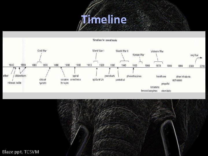 Timeline Blaze ppt. TCSVM 