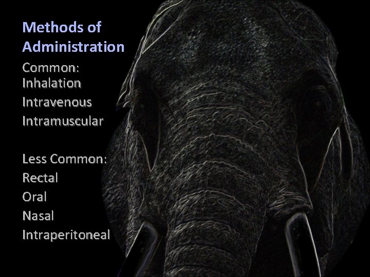 Methods of Administration Common: Inhalation Intravenous Intramuscular Less Common: Rectal Oral Nasal Intraperitoneal 