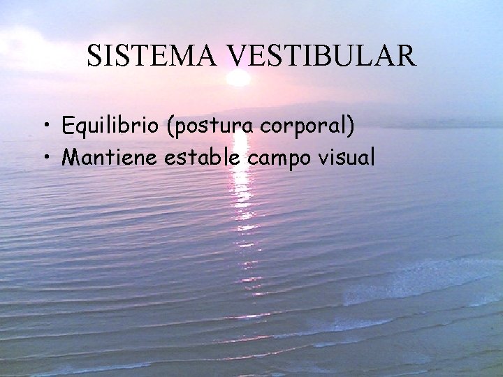 SISTEMA VESTIBULAR • Equilibrio (postura corporal) • Mantiene estable campo visual 