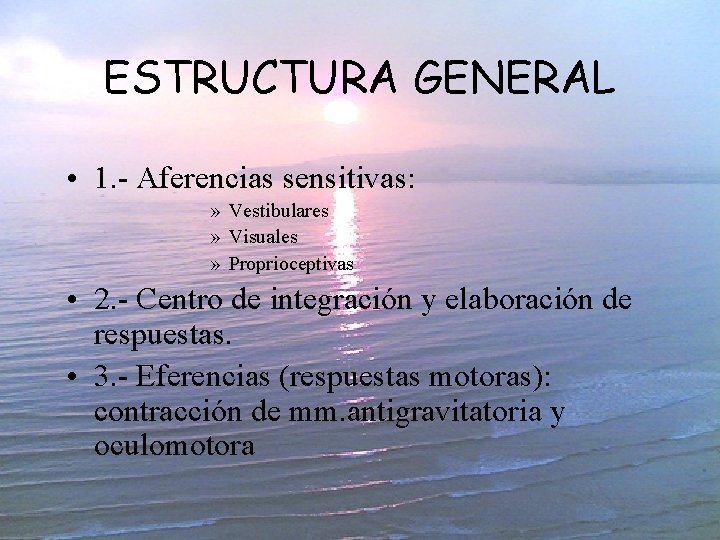 ESTRUCTURA GENERAL • 1. - Aferencias sensitivas: » Vestibulares » Visuales » Proprioceptivas •