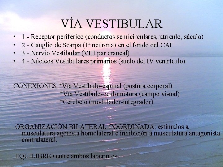 VÍA VESTIBULAR • • 1. - Receptor periférico (conductos semicirculares, utrículo, sáculo) 2. -