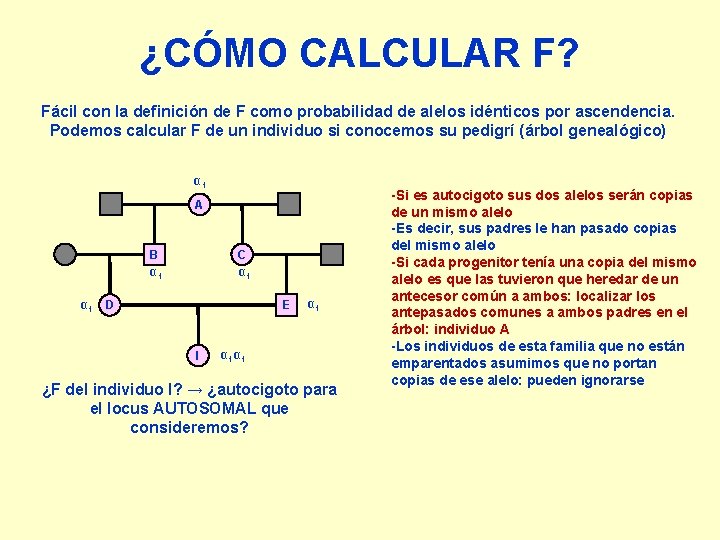 ¿CÓMO CALCULAR F? Fácil con la definición de F como probabilidad de alelos idénticos