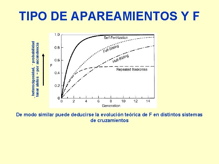 ↓ heterocigosidad, ↑ probabilidad tener alelos = por ascendencia TIPO DE APAREAMIENTOS Y F