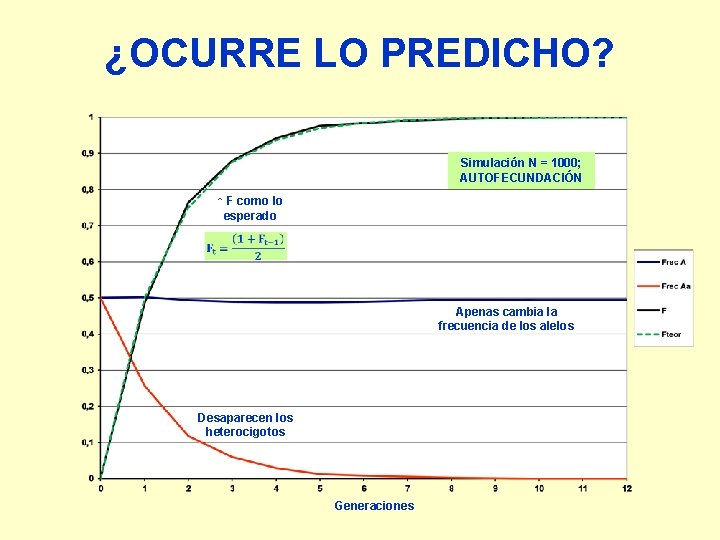 ¿OCURRE LO PREDICHO? Simulación N = 1000; AUTOFECUNDACIÓN ↑ F como lo esperado Apenas