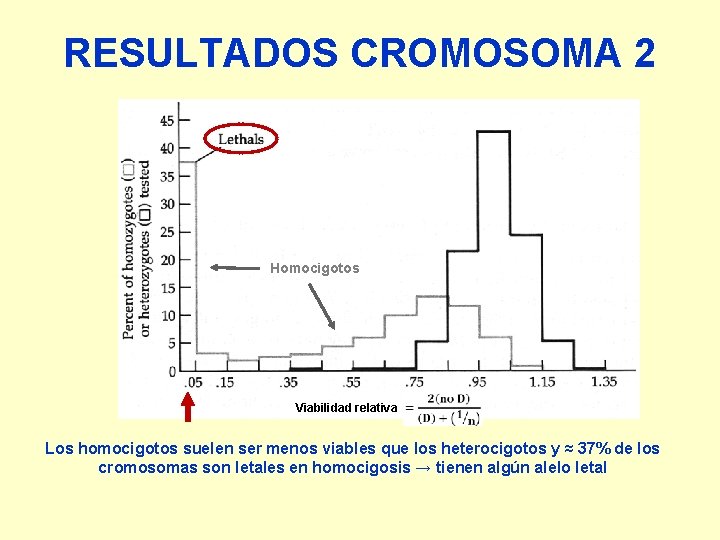 RESULTADOS CROMOSOMA 2 Homocigotos Viabilidad relativa Los homocigotos suelen ser menos viables que los