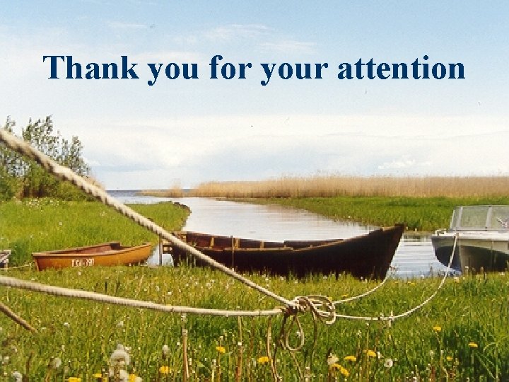 Thank you for your attention 
