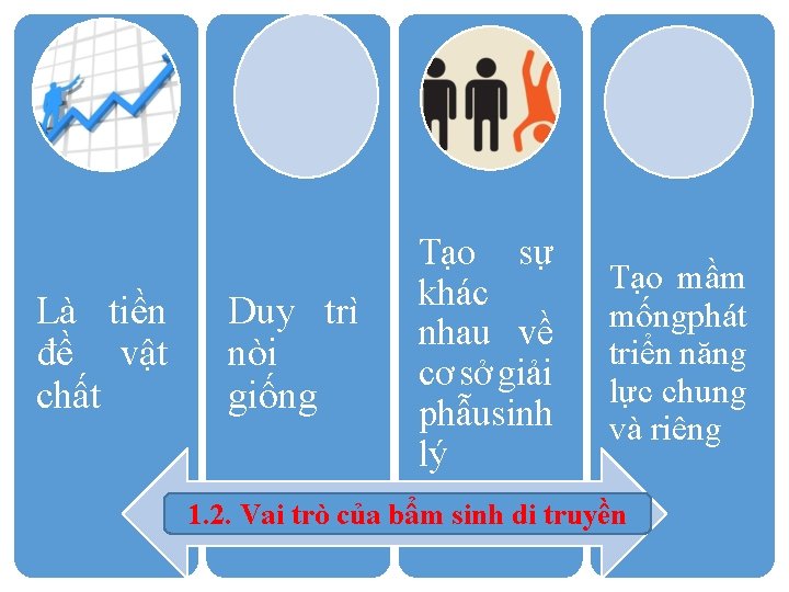 Là tiền đề vật chất Duy trì nòi giống Tạo sự khác nhau về