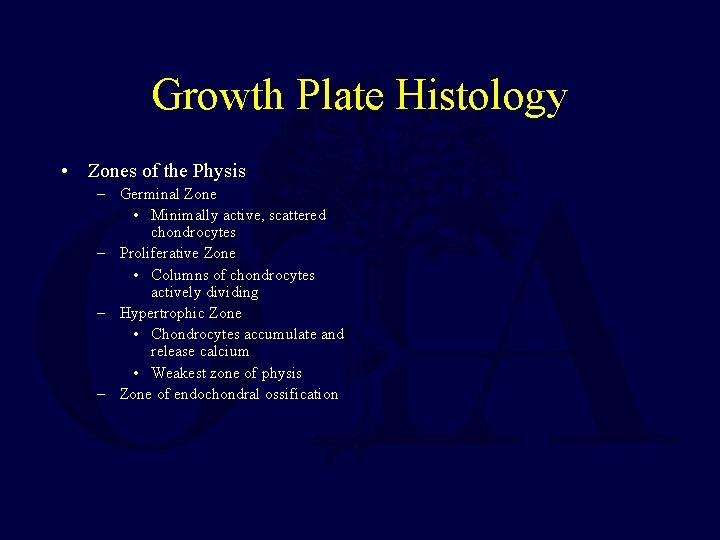 Growth Plate Histology • Zones of the Physis – Germinal Zone • Minimally active,