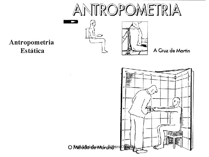 Antropometria Estática Prof. Maria Lucia L. Ribeiro Okimoto 