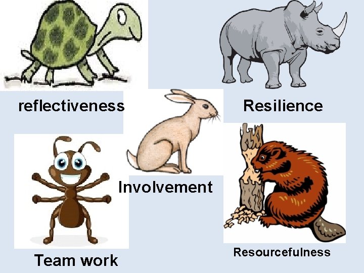 reflectiveness Resilience Involvement Team work Resourcefulness 