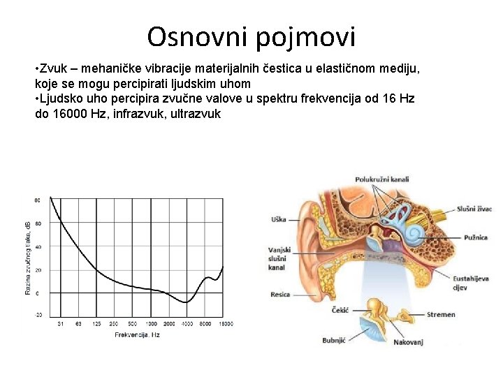 Osnovni pojmovi • Zvuk – mehaničke vibracije materijalnih čestica u elastičnom mediju, koje se