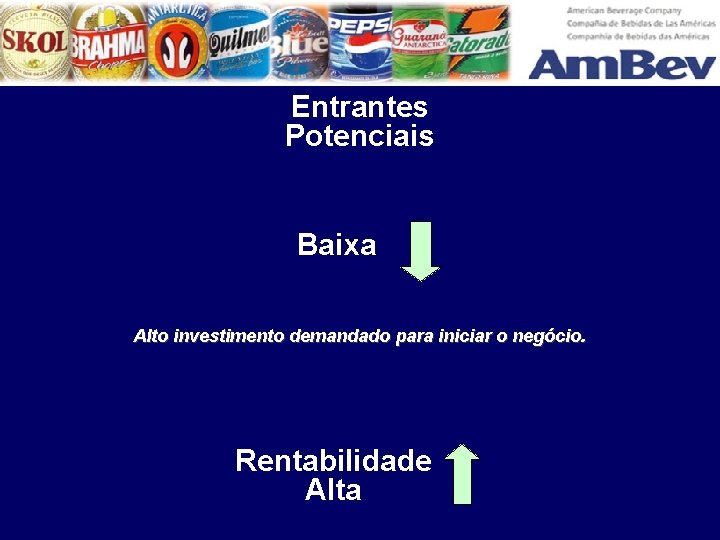 Entrantes Potenciais Baixa Alto investimento demandado para iniciar o negócio. Rentabilidade Alta 