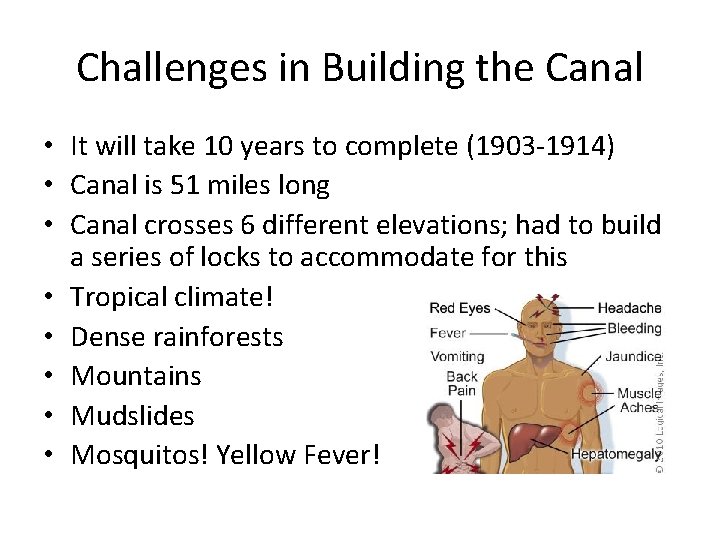 Challenges in Building the Canal • It will take 10 years to complete (1903