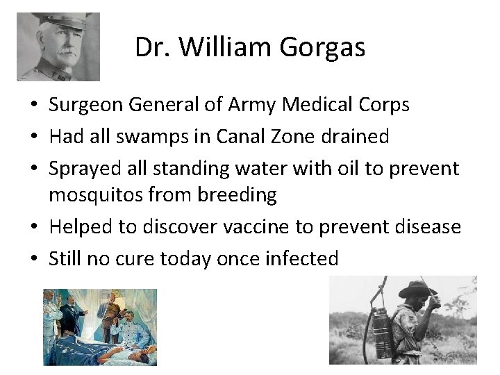 Dr. William Gorgas • Surgeon General of Army Medical Corps • Had all swamps