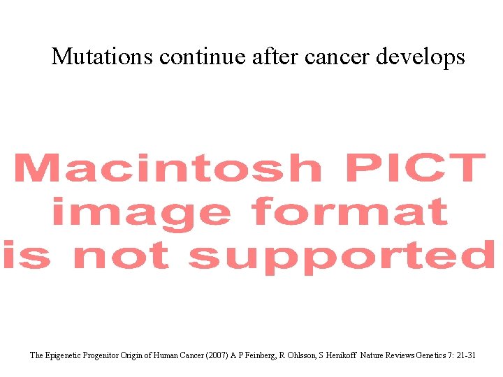 Mutations continue after cancer develops The Epigenetic Progenitor Origin of Human Cancer (2007) A