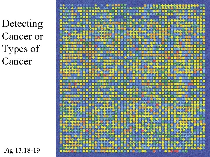 Detecting Cancer or Types of Cancer Fig 13. 18 -19 