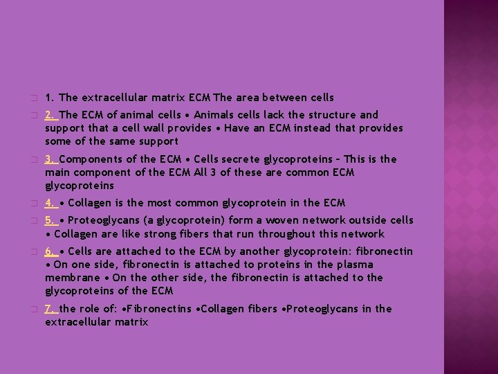 � 1. The extracellular matrix ECM The area between cells � 2. The ECM � 1. The extracellular matrix ECM The area between cells � 2. The ECM