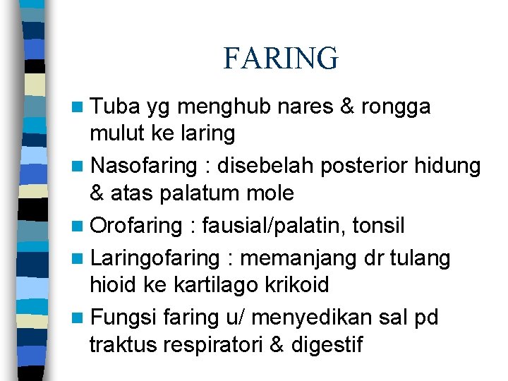 FARING n Tuba yg menghub nares & rongga mulut ke laring n Nasofaring :