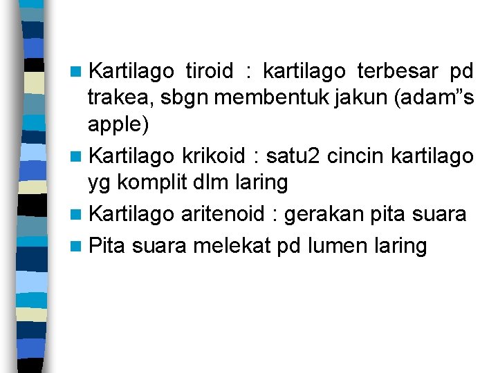 n Kartilago tiroid : kartilago terbesar pd trakea, sbgn membentuk jakun (adam”s apple) n