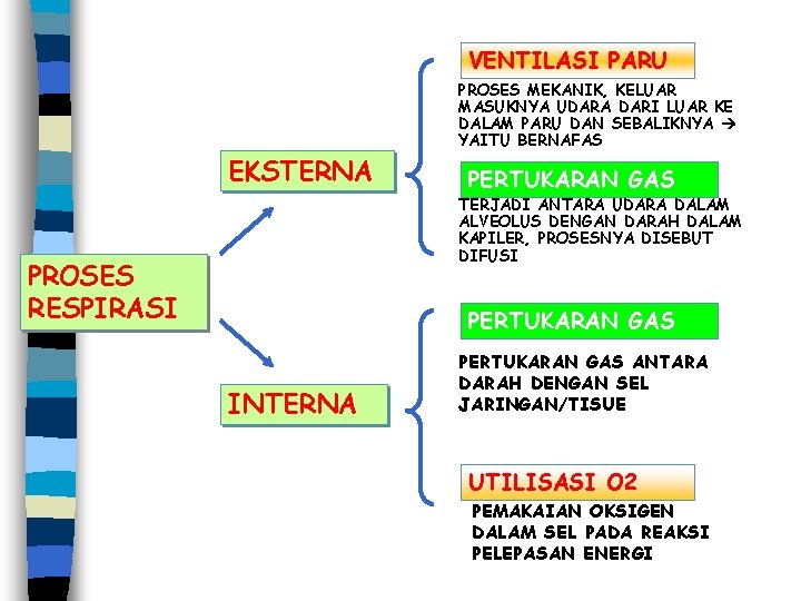 VENTILASI PARU PROSES MEKANIK, KELUAR MASUKNYA UDARA DARI LUAR KE DALAM PARU DAN SEBALIKNYA