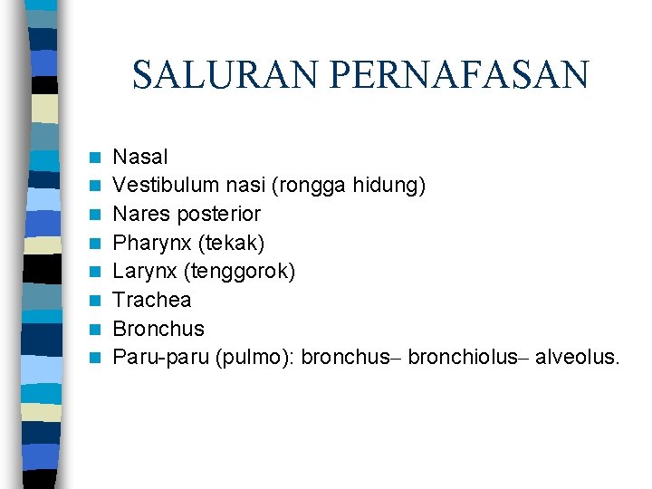 SALURAN PERNAFASAN n n n n Nasal Vestibulum nasi (rongga hidung) Nares posterior Pharynx