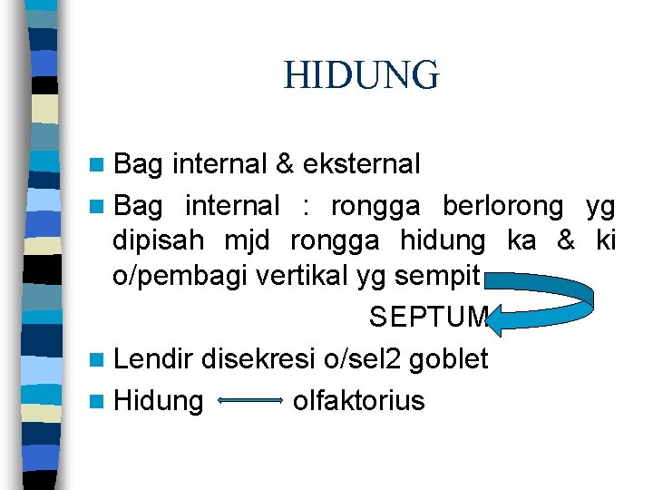 HIDUNG n Bag internal & eksternal n Bag internal : rongga berlorong yg dipisah