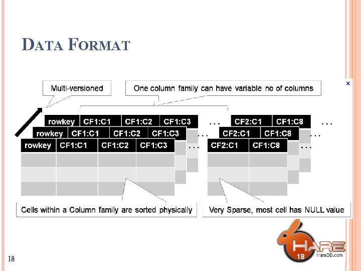 DATA FORMAT 18 18 