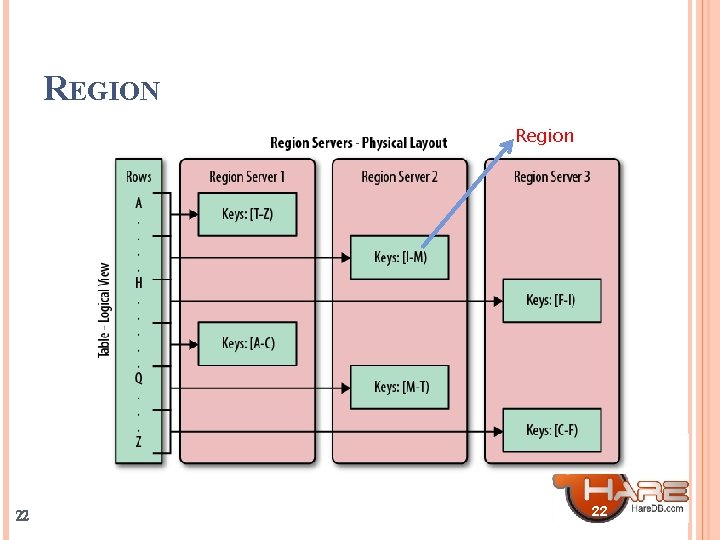 REGION Region 22 22 
