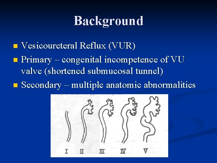 Background Vesicoureteral Reflux (VUR) n Primary – congenital incompetence of VU valve (shortened submucosal