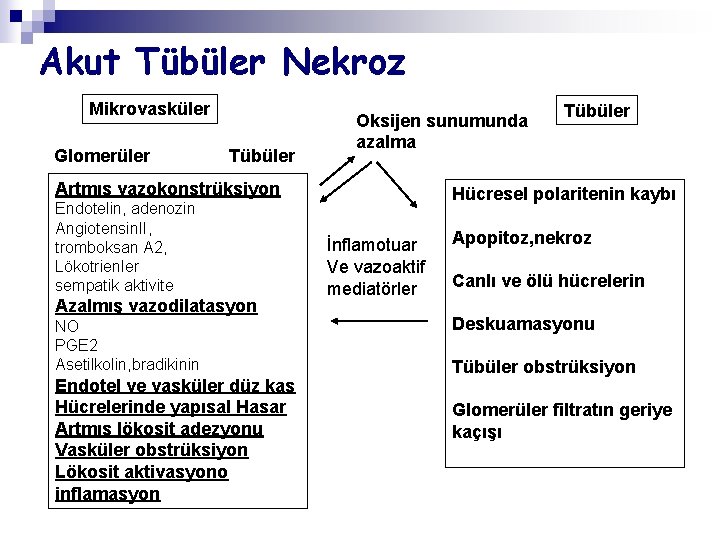 Akut Tübüler Nekroz Mikrovasküler Glomerüler Tübüler Oksijen sunumunda azalma Artmış vazokonstrüksiyon Endotelin, adenozin Angiotensin.