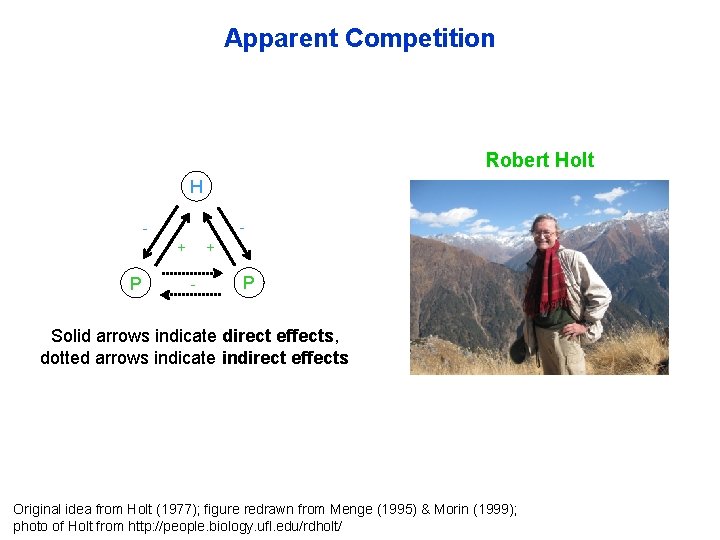 Apparent Competition Robert Holt H - + P + - P Solid arrows indicate