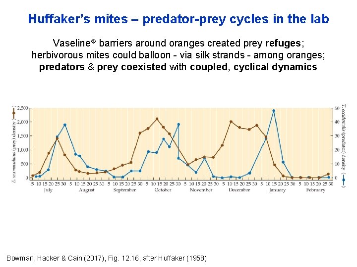 Huffaker’s mites – predator-prey cycles in the lab Vaseline barriers around oranges created prey