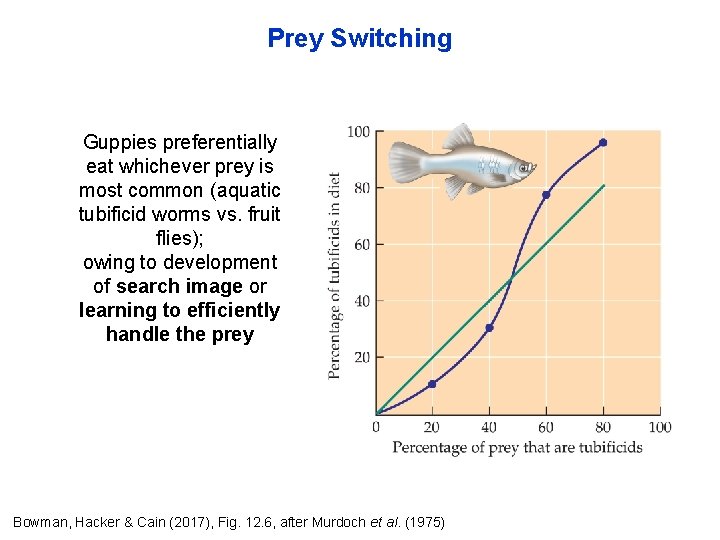 Prey Switching Guppies preferentially eat whichever prey is most common (aquatic tubificid worms vs.