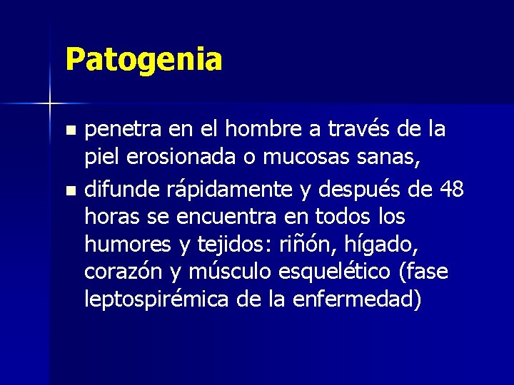 Patogenia penetra en el hombre a través de la piel erosionada o mucosas sanas,