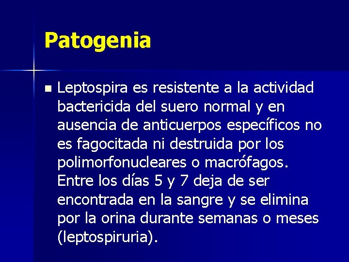 Patogenia n Leptospira es resistente a la actividad bactericida del suero normal y en