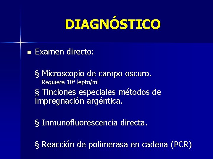 DIAGNÓSTICO n Examen directo: § Microscopio de campo oscuro. Requiere 104 lepto/ml § Tinciones